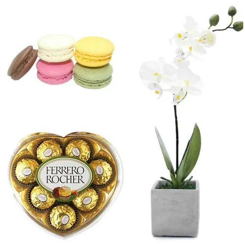 https://cdn11.bigcommerce.com/s-s00dfko9/images/stencil/{:size}/products/486/2066/orchid_pack-2__78394.1621494632.jpg?c=2