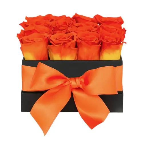 https://cdn11.bigcommerce.com/s-s00dfko9/images/stencil/{:size}/products/487/1690/korean_roses_box_manila_delivery__16339.1559672963.jpg?c=2