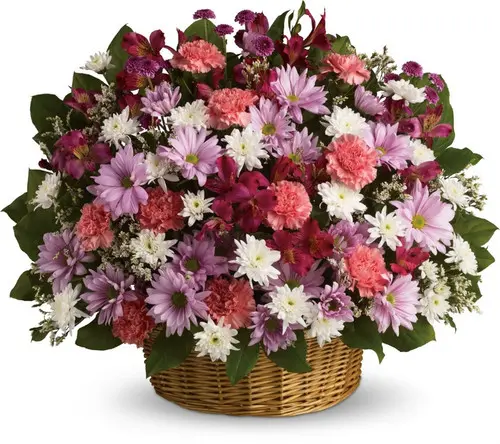 https://cdn11.bigcommerce.com/s-s00dfko9/images/stencil/{:size}/products/513/1124/9mums_basket__28131.1496507299.jpg?c=2