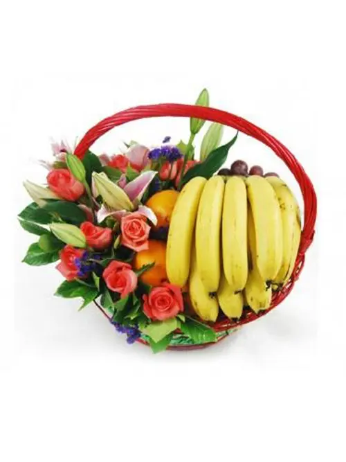 https://cdn11.bigcommerce.com/s-s00dfko9/images/stencil/{:size}/products/396/721/bg2__18707.1479756084.jpg?c=2