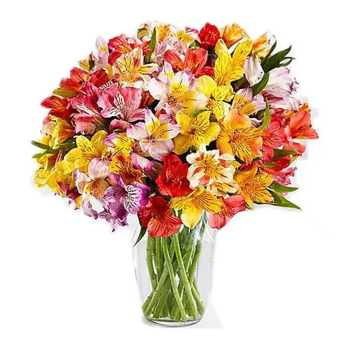 https://cdn11.bigcommerce.com/s-s00dfko9/images/stencil/{:size}/products/199/398/306303_efc8507473614185954d7dd8b1e5950d__80169.1454397734.jpg?c=2