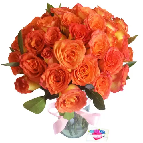 https://cdn11.bigcommerce.com/s-s00dfko9/images/stencil/{:size}/products/496/1878/korean_roses_delivery_manila__90255.1595345679.jpg?c=2