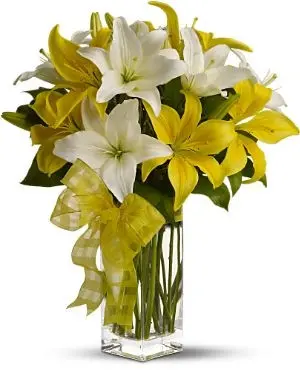 https://cdn11.bigcommerce.com/s-s00dfko9/images/stencil/{:size}/products/387/2146/yellow_white_lilies_manila__39427.1627976803.jpg?c=2