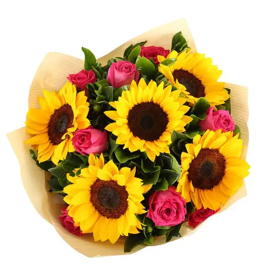 https://cdn11.bigcommerce.com/s-s00dfko9/images/stencil/{:size}/products/491/1071/sunflowers_ros__18722.1495525045.jpg?c=2