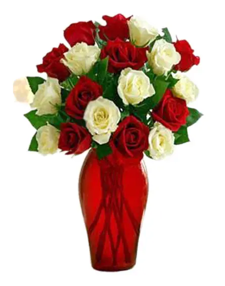 https://cdn11.bigcommerce.com/s-s00dfko9/images/stencil/{:size}/products/242/481/roses_red_white__47093.1455692048.jpg?c=2