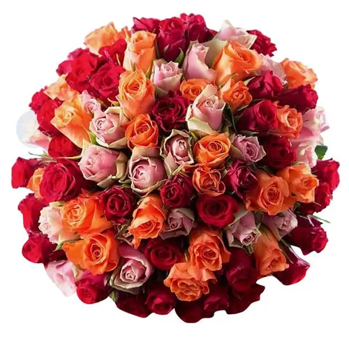 https://cdn11.bigcommerce.com/s-s00dfko9/images/stencil/{:size}/products/439/1680/Assorted_Ecuadorian_Roses_Manila___46667.1559629682.jpg?c=2