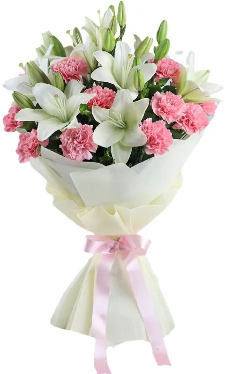 https://cdn11.bigcommerce.com/s-s00dfko9/images/stencil/{:size}/products/621/2474/Casablanca_lilies_and_Carnations_Philippines__83077.1706697094.jpg?c=2