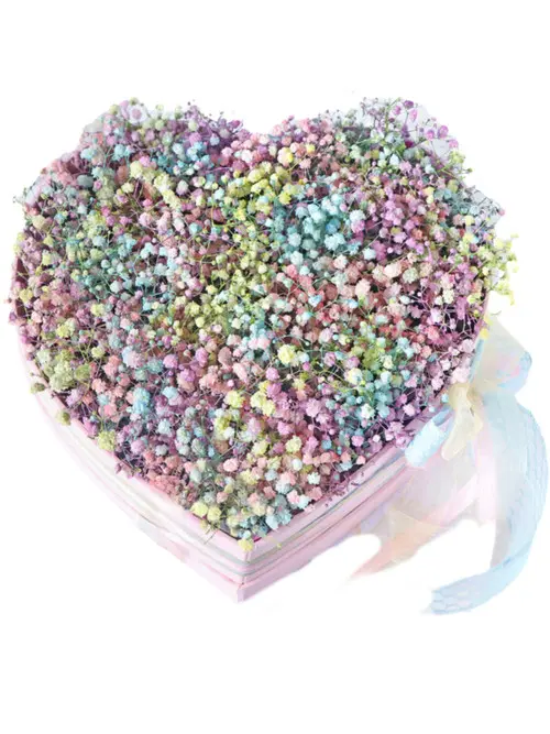 https://cdn11.bigcommerce.com/s-s00dfko9/images/stencil/{:size}/products/614/2428/Rainbow_Baby_Breath_Heart_Box__26907.1698176413.jpg?c=2