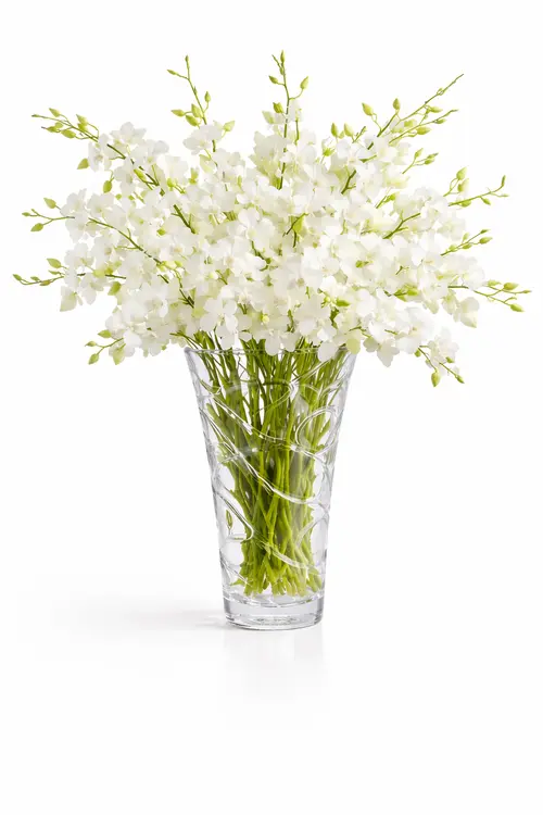 https://cdn11.bigcommerce.com/s-s00dfko9/images/stencil/{:size}/products/236/2645/White_orchids_in_a_glass_vase__83928.1775541318.png?c=2