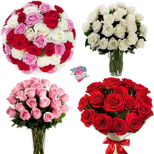 https://cdn11.bigcommerce.com/s-s00dfko9/images/stencil/{:size}/products/603/2319/collage_ecuadorian_banner__98680.1685447103.jpg?c=2