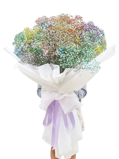 https://cdn11.bigcommerce.com/s-s00dfko9/images/stencil/{:size}/products/529/2510/Rainbow_Baby_Breath_Giant_Bouquet__11266.1720253380.png?c=2