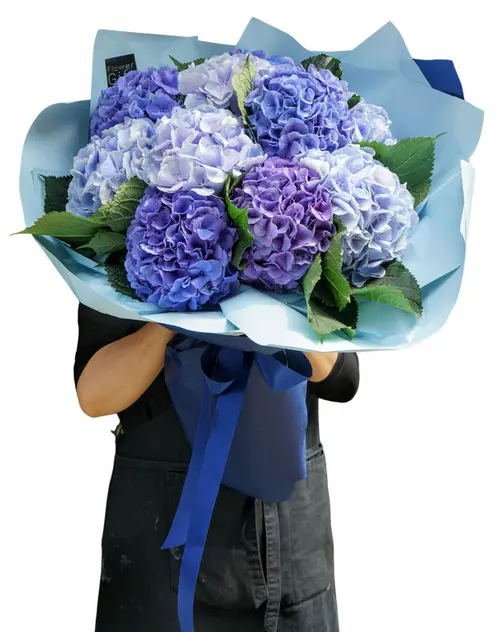 https://cdn11.bigcommerce.com/s-s00dfko9/images/stencil/{:size}/products/404/2265/purple_assorted_hydrangeas_giant_bouquet_philippines__78559.1664876683.jpg?c=2