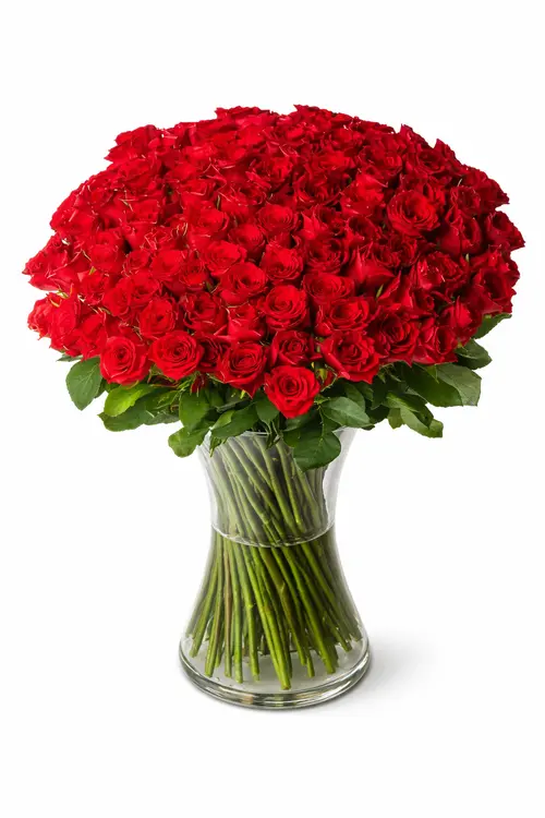 https://cdn11.bigcommerce.com/s-s00dfko9/images/stencil/{:size}/products/306/2641/100_red_roses_glass_vase_Philippines__23928.1776377329.png?c=2
