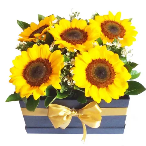 https://cdn11.bigcommerce.com/s-s00dfko9/images/stencil/{:size}/products/478/1860/Sunflowers_Box_Manila__43384.1559740026.1280.1280__48884.1592026413.jpg?c=2