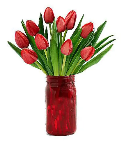 https://cdn11.bigcommerce.com/s-s00dfko9/images/stencil/{:size}/products/178/413/10tulips__79249.1454585390.jpg?c=2