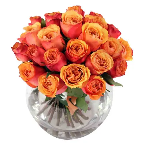 https://cdn11.bigcommerce.com/s-s00dfko9/images/stencil/{:size}/products/208/1880/korean_roses_manila_free_delivery__69601.1595345631.jpg?c=2