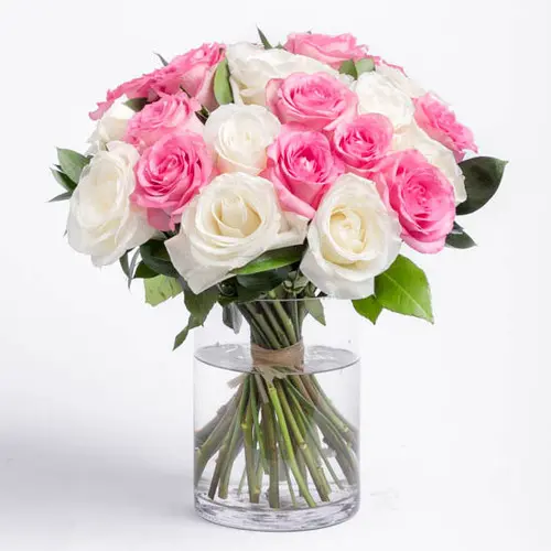 https://cdn11.bigcommerce.com/s-s00dfko9/images/stencil/{:size}/products/336/2135/pink_white_roses_manila__37858.1627636018.jpg?c=2