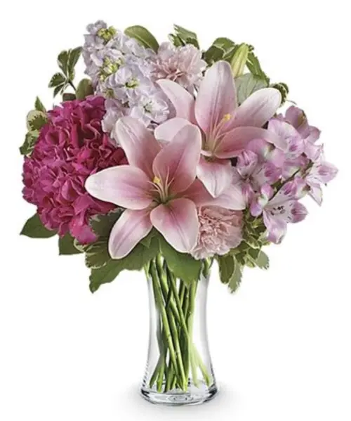 https://cdn11.bigcommerce.com/s-s00dfko9/images/stencil/{:size}/products/357/2393/stargazers_and_hydra__66935.1686482531.png?c=2