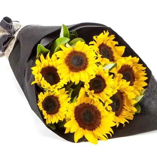 https://cdn11.bigcommerce.com/s-s00dfko9/images/stencil/{:size}/products/493/1075/sunflow_black_1__57291.1495578274.jpg?c=2