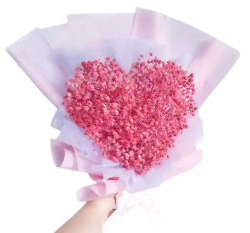 https://cdn11.bigcommerce.com/s-s00dfko9/images/stencil/{:size}/products/343/2225/pink_babys_breath_heart_bouquet_Manila__25501.1673458458.jpg?c=2