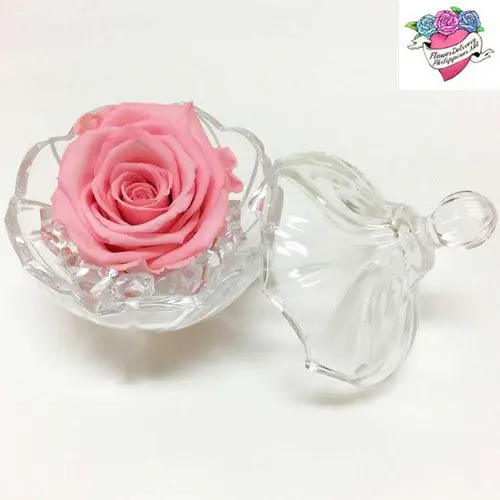 https://cdn11.bigcommerce.com/s-s00dfko9/images/stencil/{:size}/products/598/2271/sugarbowl-pink__84618.1667802209.jpg?c=2