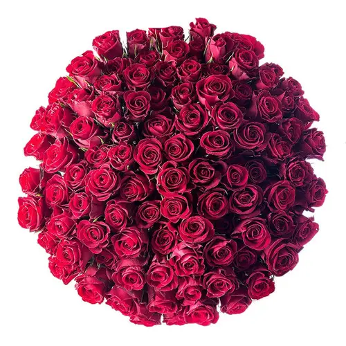 https://cdn11.bigcommerce.com/s-s00dfko9/images/stencil/{:size}/products/117/1668/100_Red_Ecuadorian_Roses_Manila__32606.1559608646.jpg?c=2