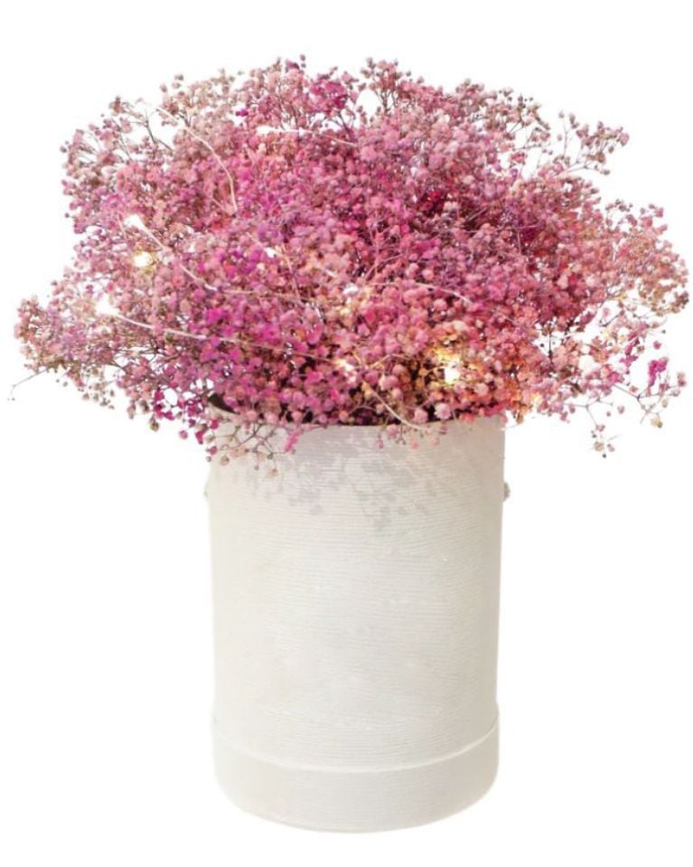 Pink Baby Breath Fairy Lights Box