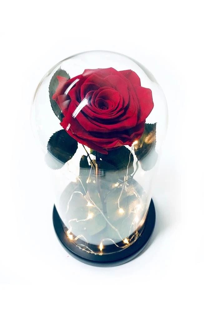 Roses Round Box
