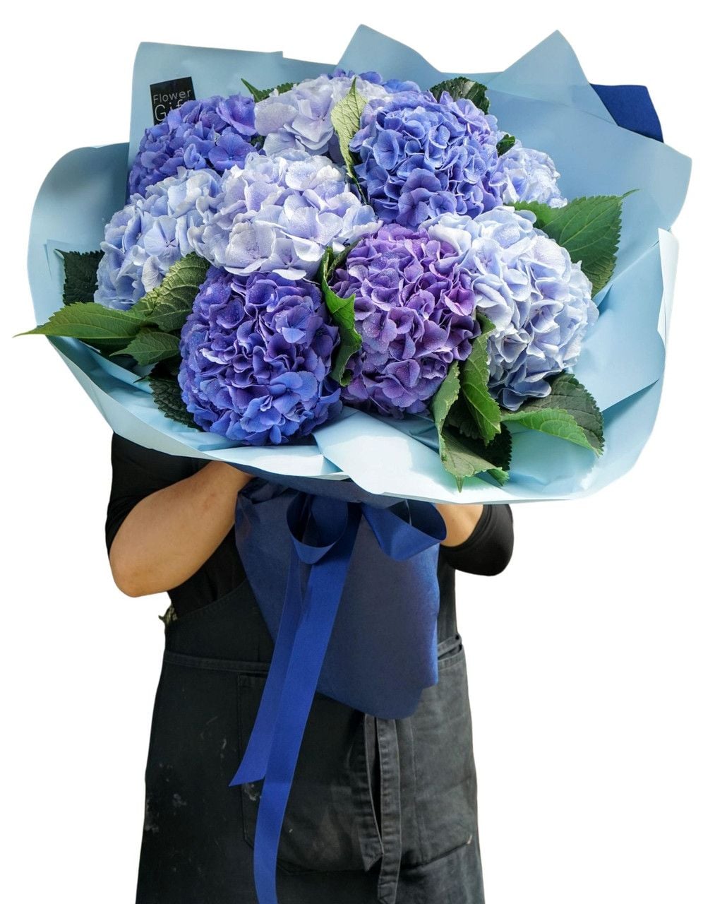 Hydrangeas Giant Bouquet