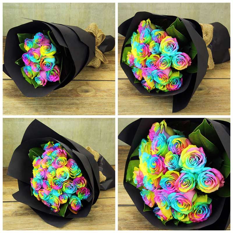 Rainbow Ecuadorian Roses (3 Rainbow Ecuadorian Roses)