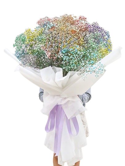 Rainbow Baby's Breath Giant Bouquet