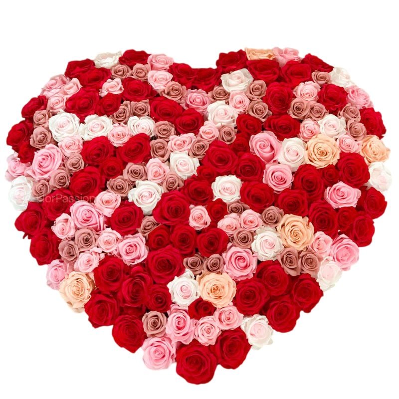 Grand Heart Red & Pink Roses Box (48 Roses)