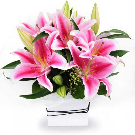 50 Assorted Tulips Grand Bouquet