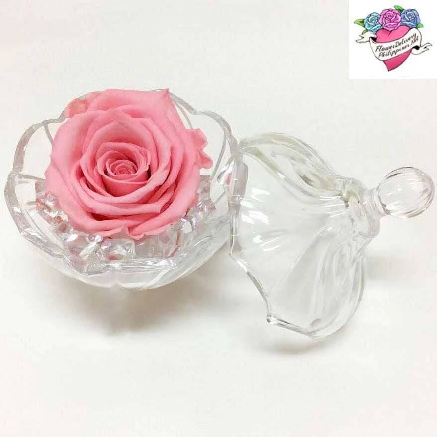 Eternal Pink Rose