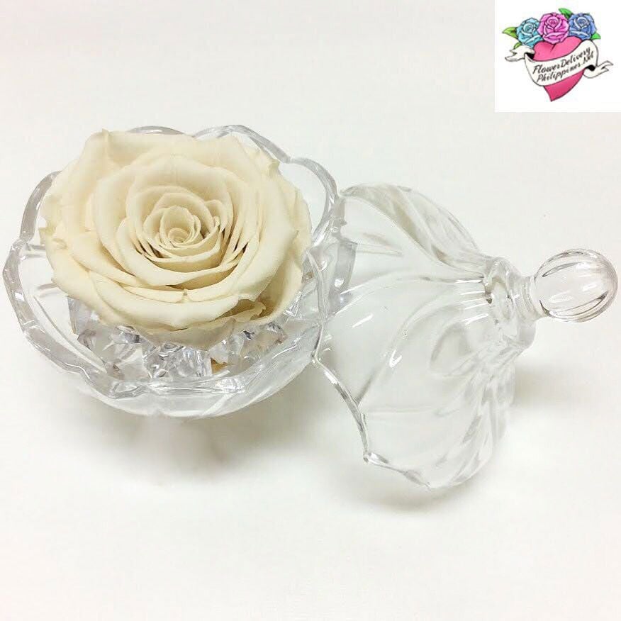 Eternal White Rose