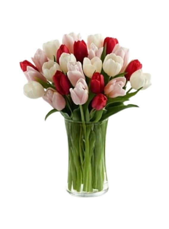 I Give You My Heart Tulips Bouquet (10 Tulips)