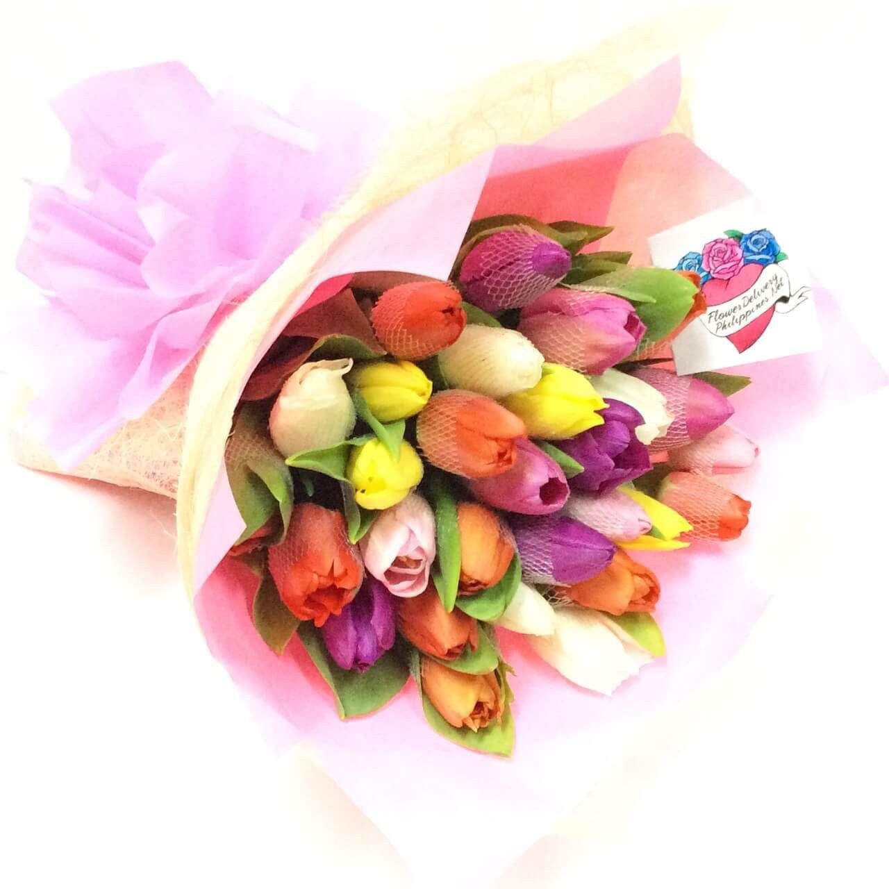 Rainbow of Holland Tulips - Best Seller! (10 Tulips)