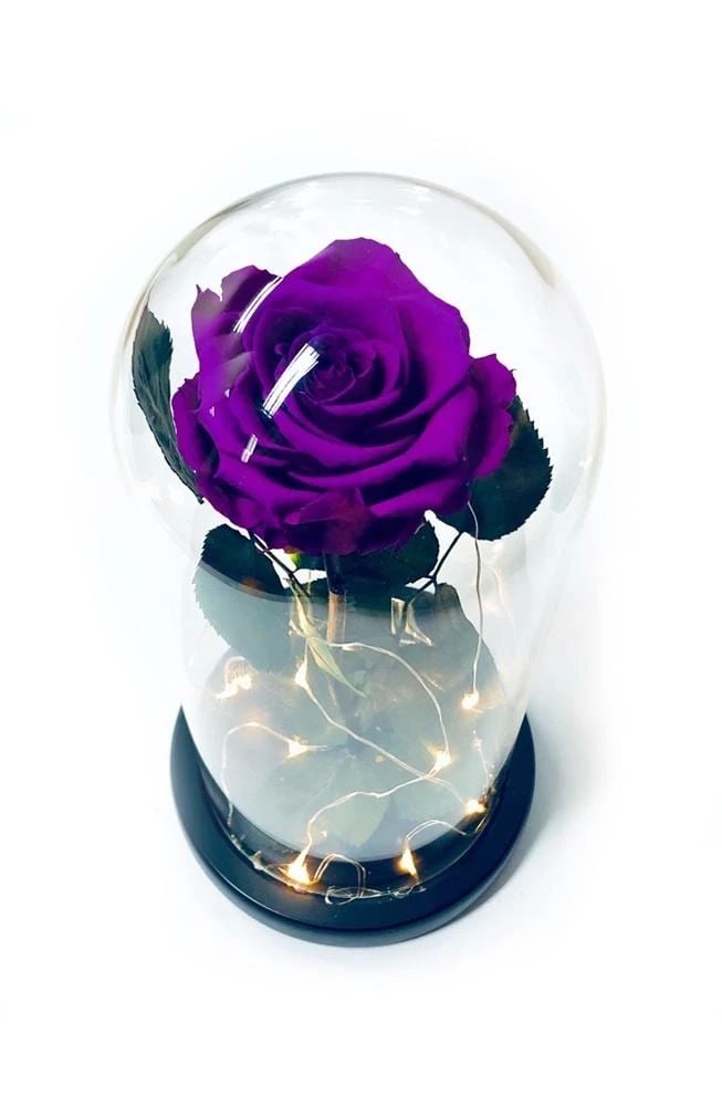 Violet Preserved Rose Fairy Lights Dome - BEST SELLER!