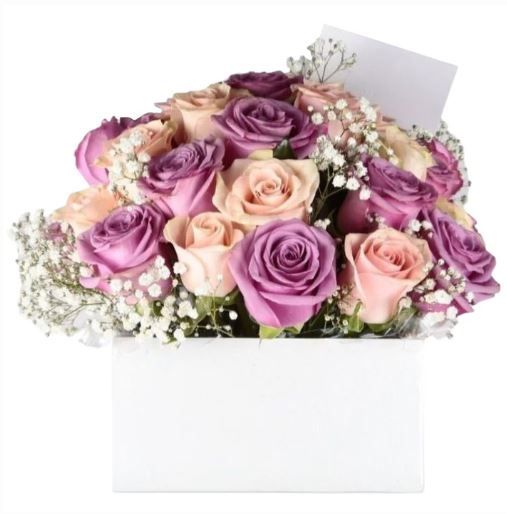 24 Pastel Roses - Classic Design