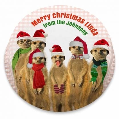 Festive Meerkats Cake (letterbox gift cake (serves 2-4))