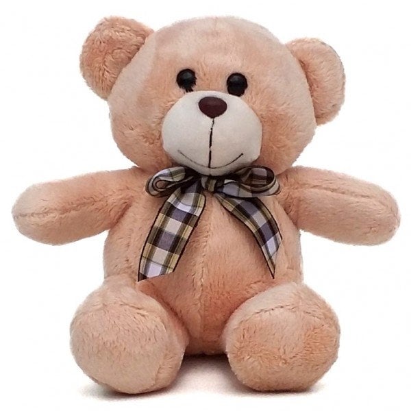 30 Cm Teddy Bear - Xande Desert