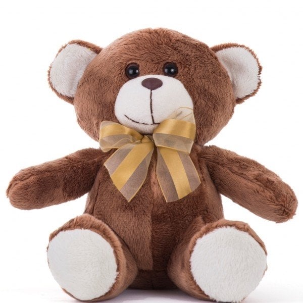 Teddy Bear 30 Cm - Xande Brown