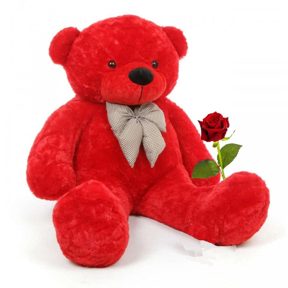 Big Red Teddy Bear & Rose