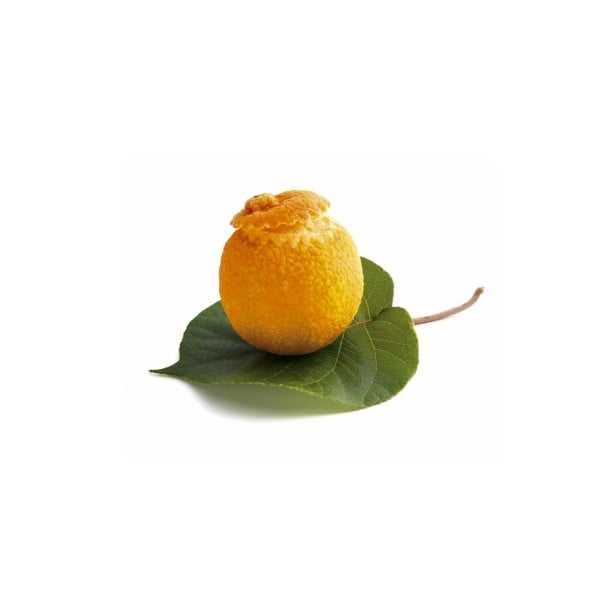 Mandarin Sorbets 2 pcs.