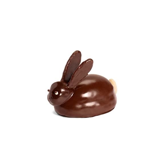 Crouching Bunny dark