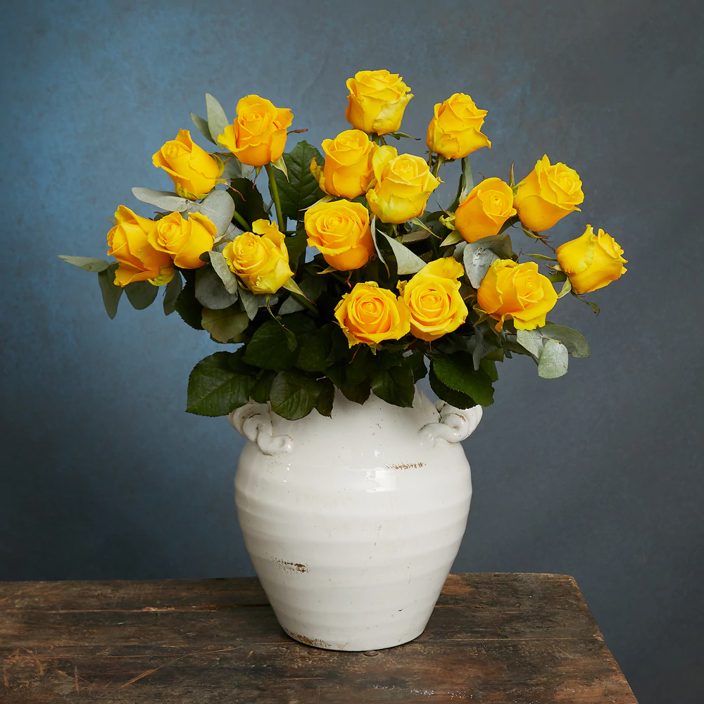 6 Months Gift Subscription - Fortnightly