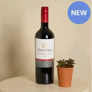 Perez Cruz Red Wine and Organic Succulent