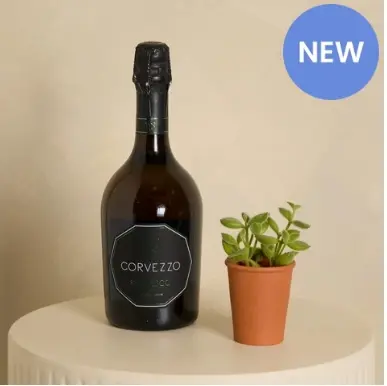 Prosecco and Organic Succulent