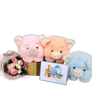 Porky Play - Baby Gift (Porky Play - 1 Porky - Baby Gift)