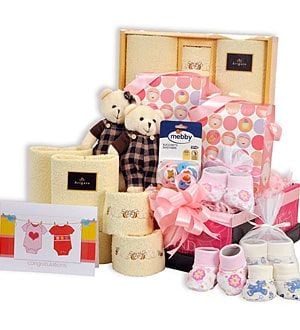 Twins - Double Joy Girl - Baby Hamper